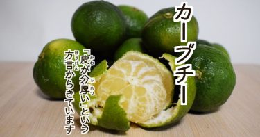 カーブチー 皮の分厚いうまいやつ♪