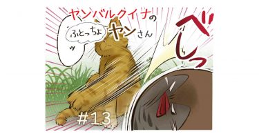 #13「ヤンさんVS野ネコ」