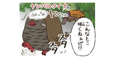 #16「カタイ生き物がとおる道！」