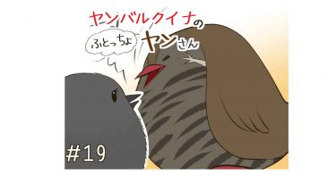 ＃19 親元にかえりな