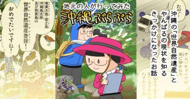 沖縄の「世界自然遺産」とやんばるの現状を知るきっかけになったお話 ≪地元の人が行ってみた沖縄ぷらぷら≫