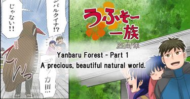 #45 Yanbaru Forest – Part 1 A precious, beautiful natural world.