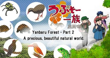 #46 Yanbaru Forest – Part 2 A precious, beautiful natural world.