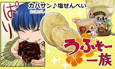 カバサン♪塩せんべい（※香ばしい）